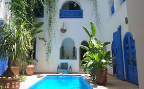 Riad Chameleon
